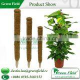 Coconut Sticks thumbnail-1