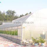 Aquaponis Growing System Greenhouse thumbnail-2