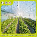 Hydroponic Greenhouse Systems/Selling Used Greenhouse For Agriculture And Horticulture thumbnail-2