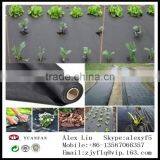 Polypropylene Spunbond Non Woven Fabric Used for Agricultural