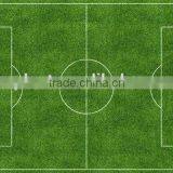 Hot Sale Sport Turfed Artificial Field Grass thumbnail-3