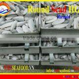 FROZEN ROUND SCAD HGT thumbnail-1