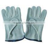 Cow Leather Driver Glove ZM60-L thumbnail-1