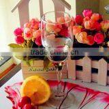 Champagne Glass,red Wine Glass,martini Glass