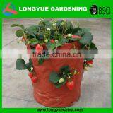 Garden Planter Bags for Strawberry thumbnail-1