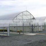 Durable 8mm Thick PC Sheet Blackout Greenhouse thumbnail-2