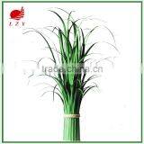 New Arrival Home Decoration Onion Grass thumbnail-2