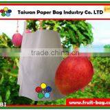 TPBI Taiwan Fruit Bag Mango White Protection Paper Bag Mango Bag Protection thumbnail-1