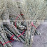 Home Cleaning bamboo broom With Compete Price