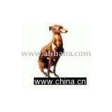 Artware Domestic Animals thumbnail-1