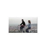 Electrical Bicycle thumbnail-1