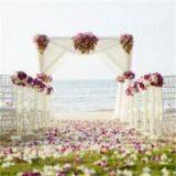 Organza Decoration For Wedding thumbnail-1