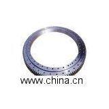 Slewing Bearing
