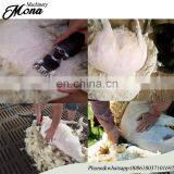 Horse and Sheep Clipper/Sheep Shears Livestock Clippers Farm Animal Goats Wool Shears thumbnail-6