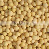 Organic Soybeans thumbnail-2