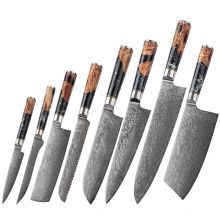 Luxury Blue Resin Handle Damascus Steel Knives set VG10 core 67Layers handmade japan damascus