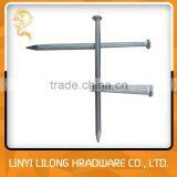 Made In China Galvanized Concrete Nails/Steel Nails thumbnail-1