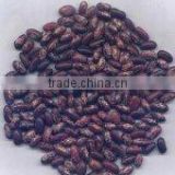 chinese purple speckled kidney beans