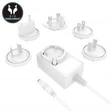 24V1A Replaceable Plug Power adapter,GS,CE,UKCA,UL,ETL,FCC,PSE,ROHS Approval, VI Efficiency,5V4A,5V5A,12V2A,12V2.5A,12V3A,24V1A,24V1.5A,48V0.38A Multi-country plug power adapter