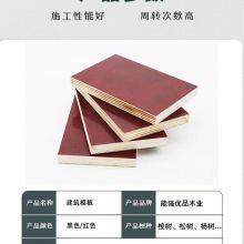 Formwork, Shuttering Panel, Construction Plywood thumbnail-2