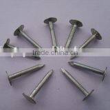 Galvanized Clout Nails Factory