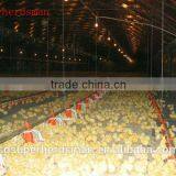 Automatic Broiler Breeder Farming Equipment thumbnail-2