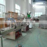 Small Capacity Bottle Juice Filling Machine
