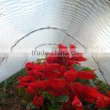 Advertising Film Machine thumbnail-6