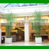 Simulation OutdoorBamboo Tree / Indoor Home Decoration Bamboo Tree/ Artificial Bamboo /fake Bamboo thumbnail-2