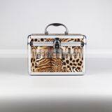 Aluminium Professional Skin Hair Case Vanity Storage Box thumbnail-2