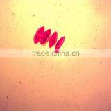 Indonesia Government Designated Matching 17 Pieces Prepared Slides thumbnail-4