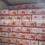 Fresh Gannan Navel Orange, Best Quality China Navel Orange thumbnail-4
