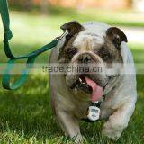 2013 Best Novelty Promotional Gift Digital Pet Dog Pedometer