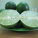 Fresh Lime High Quality and Best Price From Vietnam