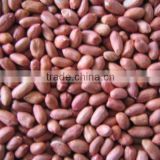 new crop peanut kernel