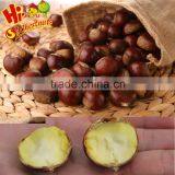 New Crop Fresh Chestnut Origin From Hebei thumbnail-3