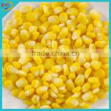 Best canned sweet corn price