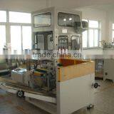 Automatic Grabbing Type Case Packer