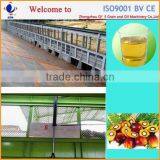 Professional Palm Kernel Oil Extractor Workshop Machine