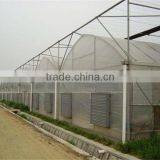Muiti Tunnel Agriculture Greenhouse for Sale thumbnail-3