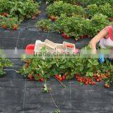 Protective PP Ground Cover thumbnail-4