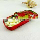 Rectangualr Mint Tins Wholesale