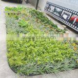 SJLJ013766 China Supplier Direct Selling Artificial Vertical Green Wall With Artificial Plant thumbnail-2