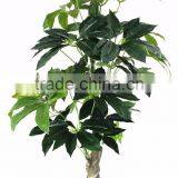 China Hot Sale Evergreen Fake Money Tree ,artificial Pachira thumbnail-6