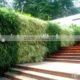 Lifelike Beautiful Artificial Plant Wall For Indoor Landscaping thumbnail-1