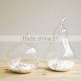 Apple and Pear Shaped Glass Vase / Clean Glass Vase / Glass Vase thumbnail-2