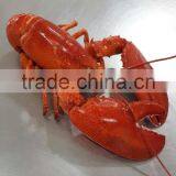 Frozen Cooked /frozen Raw Canadian Lobster thumbnail-2