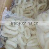 Frozen Squid Ring thumbnail-3