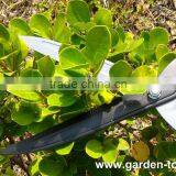 Taiwan Gardening Straight Steel Metal Branch Cutter Hedge Shears thumbnail-4