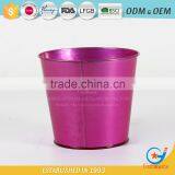 Plants for Pots Outside Cheap Metal Garden Pots thumbnail-3